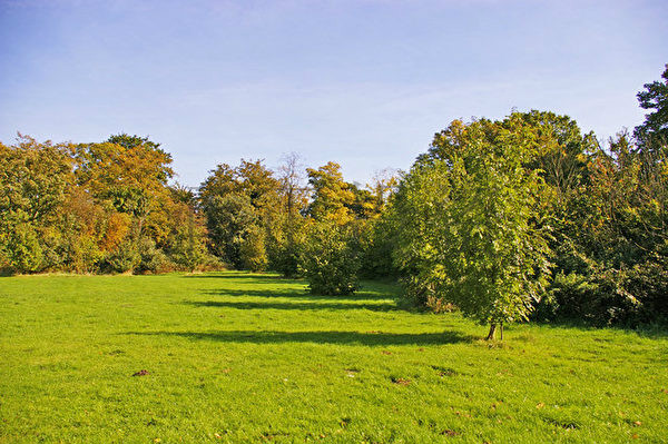 考克福斯特斯的特伦特公园(Trent Park),占地面积约413英亩(167公顷),公园内有精致的湖泊、古老的森林、壮观的历史遗迹和被列为英国保护建筑的建筑遗址。
