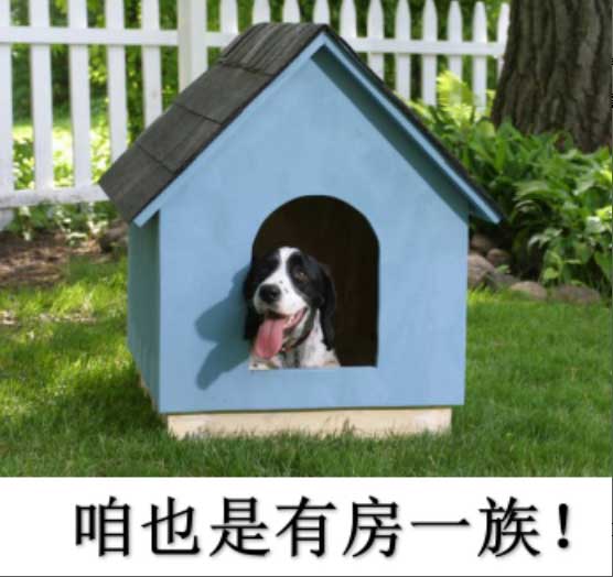 狗狗们的英国房产竟这么奢华！人不如狗啊！