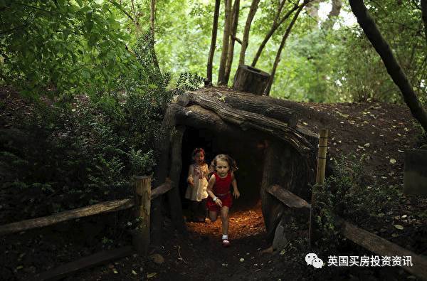 来自童话故事的树屋Living Room Treehouses
