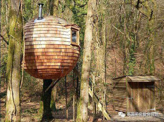 “魔法星球”Lost Meadow Treepod