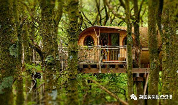 来自童话故事的树屋Living Room Treehouses